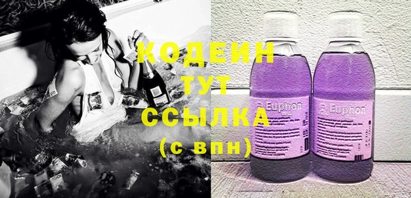 шишки Горнозаводск