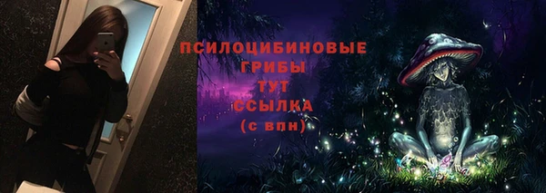 шишки Горнозаводск