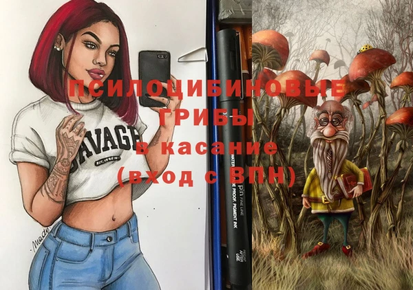 шишки Горнозаводск