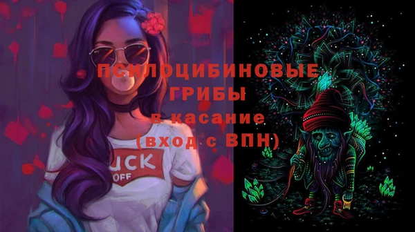 бошки Горняк