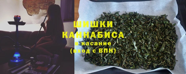 шишки Горнозаводск