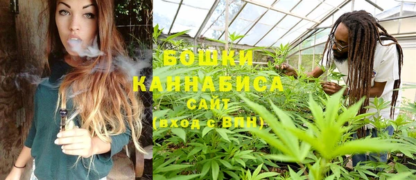 шишки Горнозаводск