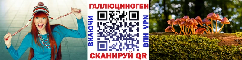 Галлюциногенные грибы MAGIC MUSHROOMS  Купить  Киселёвск 