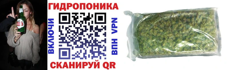 Купить закладки  Киселёвск  Каннабис гибрид 